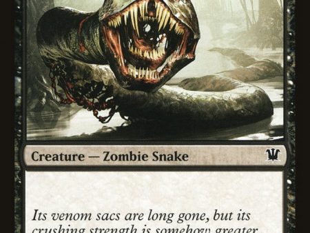 Rotting Fensnake [Innistrad] Sale