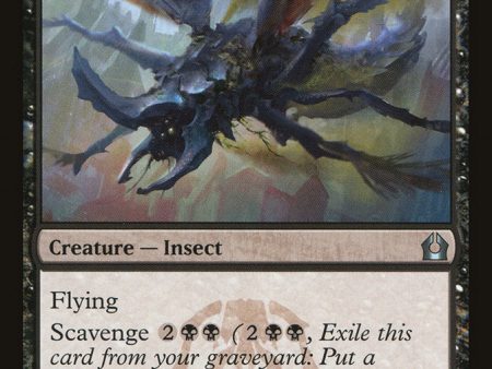 Zanikev Locust [Return to Ravnica] on Sale