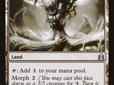 Zoetic Cavern [Commander 2011] Cheap