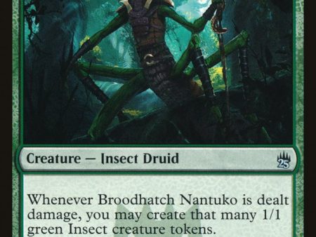 Broodhatch Nantuko [Masters 25] Hot on Sale